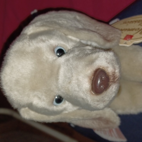 Yomiko Classics Weimaraner and sock pal - Picture 1 of 7